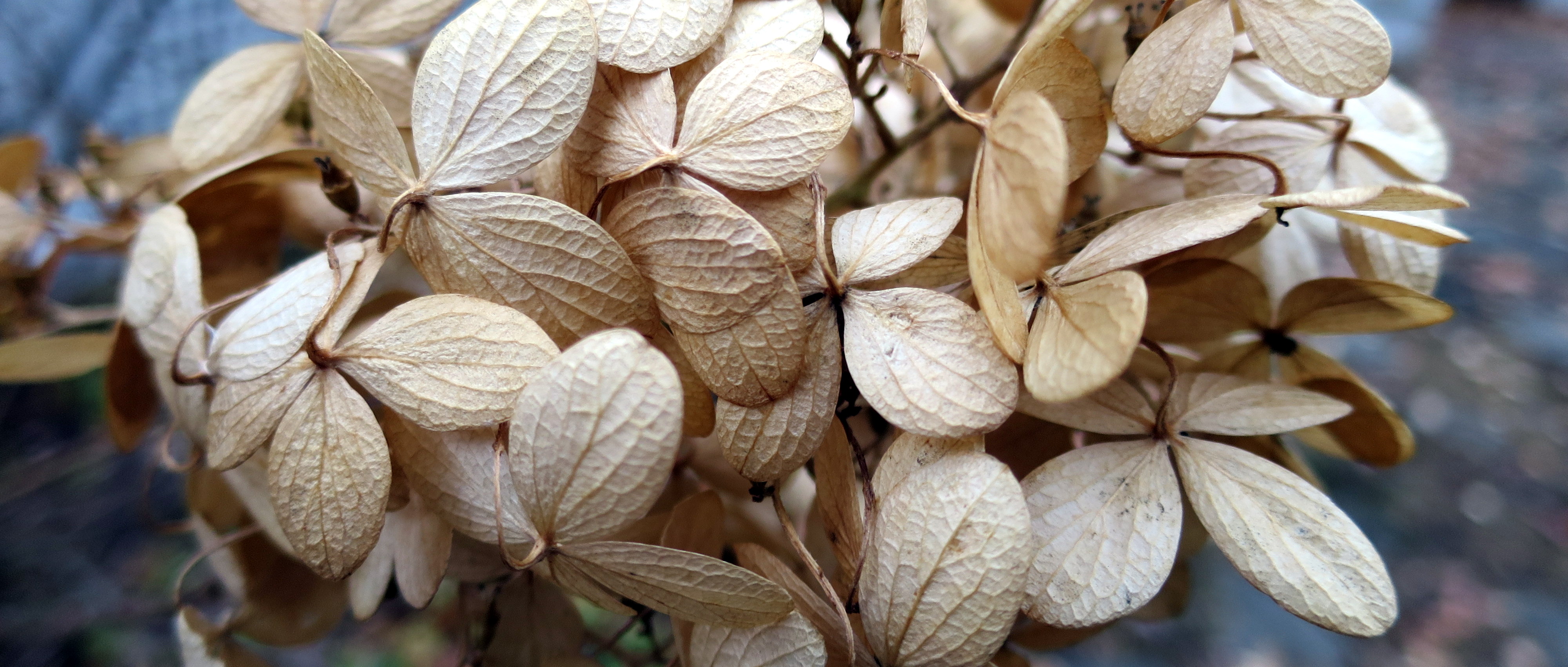 Deliberately Unfulfilled